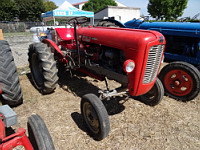 Tracteur Massey-Ferguson (ph F. Mrugala, St Jean de Touslas)(2)